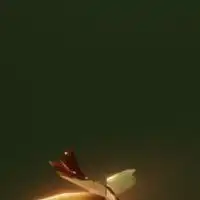 Skyやってる人！！