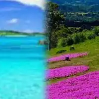 ぬくもりの内側🌈風が通り抜ける道✨✨