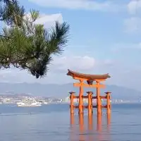 dupa三重名古屋エリア　スタッフ勉強会