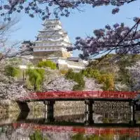 兵庫県南西アラフォーアラフィフ2号館♬.*..｡o✩°･: