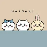 ♡しまむら♡大人女子