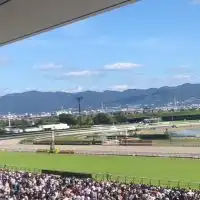 競馬場に行きませんか？