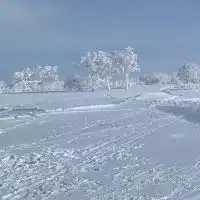 北海道大人のスノーボーダーのたまり場