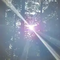 ご縁kokoro✨