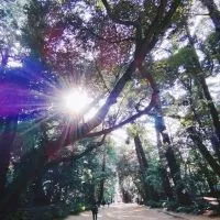 🐒⛩️神社仏閣⛩️🐒✨🧚‍♂パワースポット🧚‍♂✨旅行✨時々禅語✨心通わせ思いやりのある毎日を🧝‍♀️