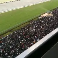 ロスインゴベルナブレス・デ・競馬