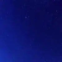 FIPと診断された猫ちゃん