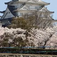 [学生集まれー!!!] 歴史好き！＆城好き！の人は入って〜？雑談️⭕️
