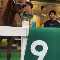 競馬・雑談コミュニティ