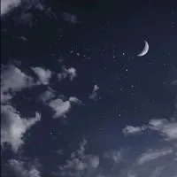カリフォルニア産カリフラワー