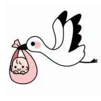 たまひよ2023.12月 近畿エリア