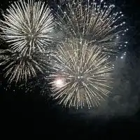インコ真理教