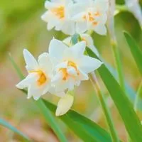 和みの写真部屋🍀『トークも🆗』