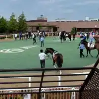 タクロー競馬オプチャ