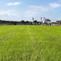 のんびり競馬　時々競馬場in関西