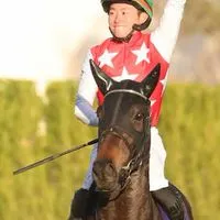 【阪神JF/カペラS/中日新聞杯/香港国際競走】競馬雑談(予想等)