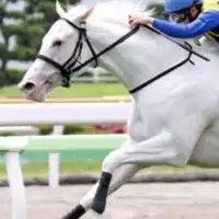 プリン競馬サークル🐴