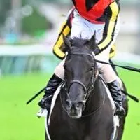 【さきたま杯/函館記念/ラジオNIKKEI賞】競馬雑談(予想等)