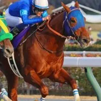 【香港/阪神JF/カペラS/中日新聞杯】競馬雑談（予想等）