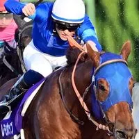 【チャンピオンズC/ステイヤーズS/鳴尾記念】競馬雑談(予想等)