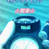 ☆関東限定☆ダイビング友達募集☆バディーダイビング☆セルフダイビング☆