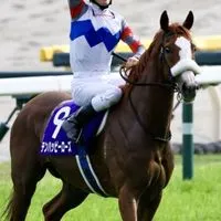 【ヴィクトリアM/京都HJ/新潟大賞典】競馬雑談(予想等)