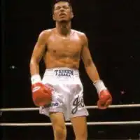 ボクシング 🦋＋🐝=🐜