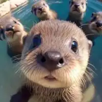 モン友しよーぜ(*¨̮*)