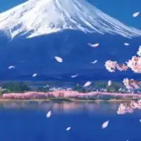 北海道〜九州、沖縄の30代40代50代60代の🌷大人の雑談部屋🌷