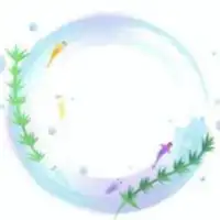 めだか仲間募集♡初心者OK🔰雑談や卵・生体交換♡ 京都市内～滋賀南部