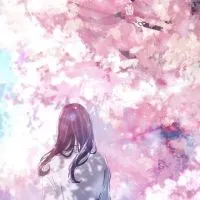 超爆益EA🌸桜花（おうか）🌸心春乱舞🌸FX自動売買システム