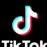 tiktokバズらせ隊