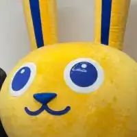 福岡の国民民主党好きさん