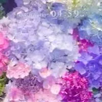 身体障害者交流室