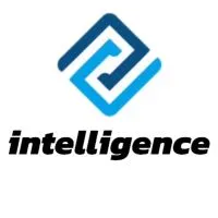 カーパーキングマルチプレイヤー Team Intelligence