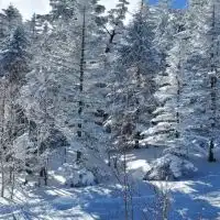 群馬県スノボ好き