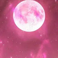 【男子限定】男子性相談
