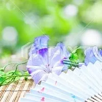 ☘️全国【30代～】趣味✨雑談部屋🏠