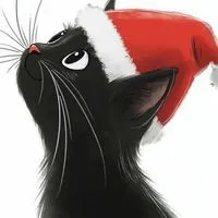 🍺🍹🍷🍶🍸松戸 柏 船橋 西船橋 本八幡 亀有 小岩 千葉 蘇我 お酒🍾グルメ🍔スイーツ🧁大好き❤