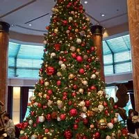 目黒碑文谷テニス会(硬式)🎾はじめて〜中級者まで😊特に🎾はじめての方の参加を歓迎します🤗