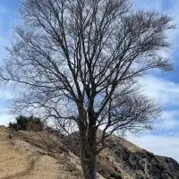 楽しい日帰り山登り