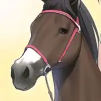 ボサツの競馬道場