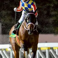 トリプルWIN🐴