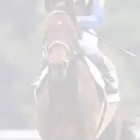 有馬記念【裏読み】道中平均ラップの法則