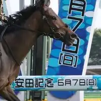 金堀競馬研究所（旧:マーリン競馬） 🐎