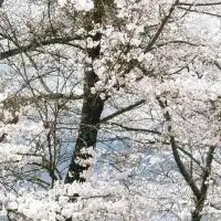 たんぷく名人　無料オープンチャット