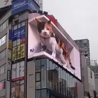 東京飯友会