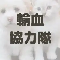 いぬねこ輸血協力隊