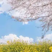 幸せを全て掴むために努力しましょう