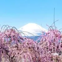 生活保護相談所